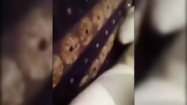 Phoenix'te amatör Türk seks keyfi